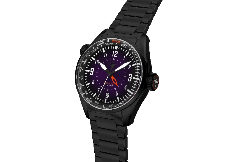 Balt-Pilot Worldtimer DLC Raven